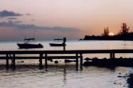 Fishing boats