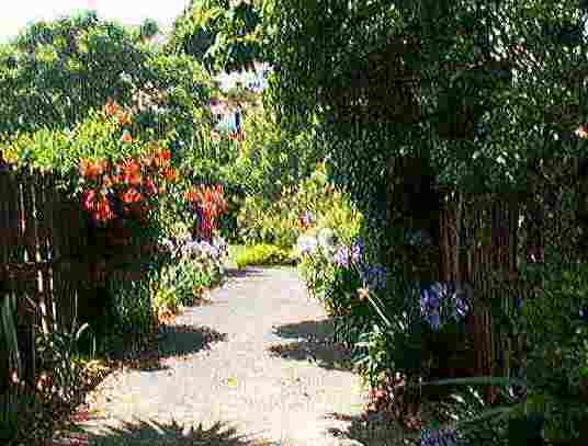 Driveway