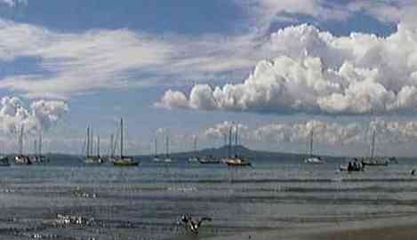 Torbay beach